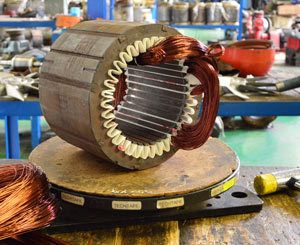 Expert Rewinding Services